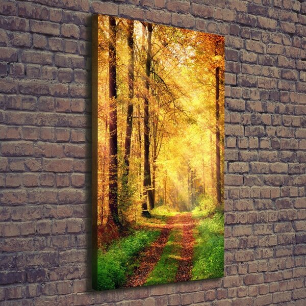 Vertikální Foto obraz canvas Les na podzim ocv-91078750