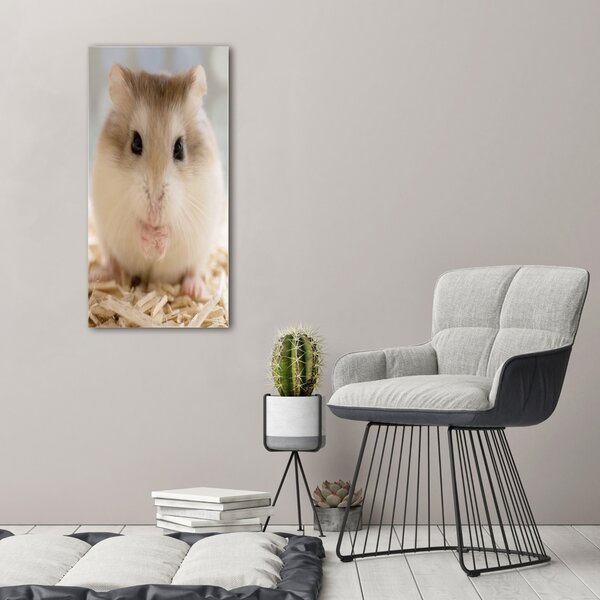 Vertikální Moderní fotoobraz canvas na rámu Křeček ocv-91045561