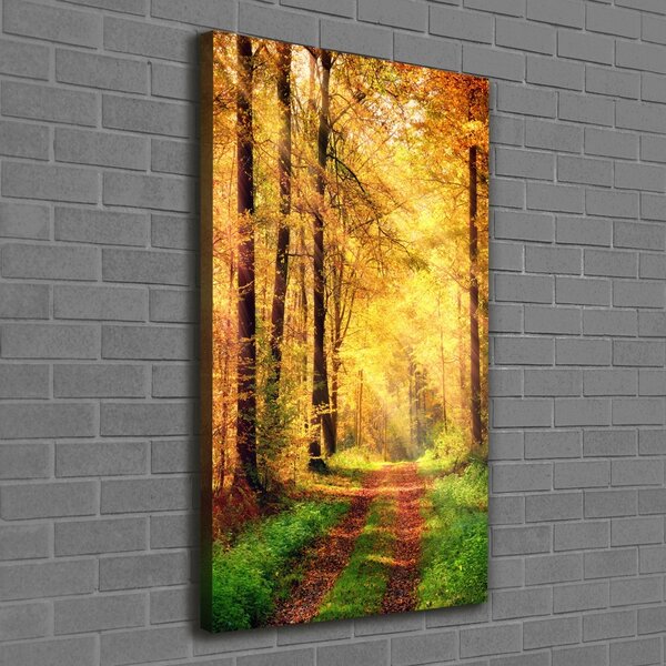 Vertikální Foto obraz canvas Les na podzim ocv-91078750