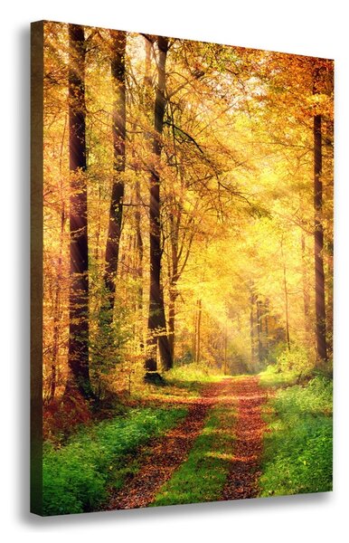 Vertikální Foto obraz canvas Les na podzim ocv-91078750