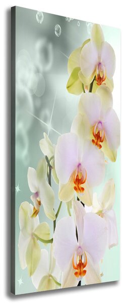 Vertikální Vertikální Foto obraz na plátně do obýváku Orchidej ocv-91133337