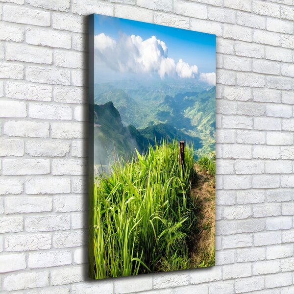 Vertikální Foto obraz canvas Horská stezka ocv-91416067
