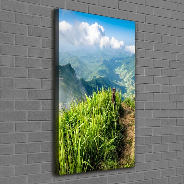 Vertikální Foto obraz canvas Horská stezka ocv-91416067