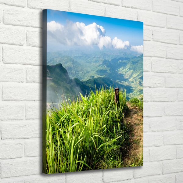 Vertikální Foto obraz canvas Horská stezka ocv-91416067