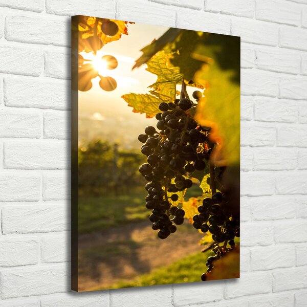 Vertikální Moderní obraz canvas na rámu Vinice ocv-92882474