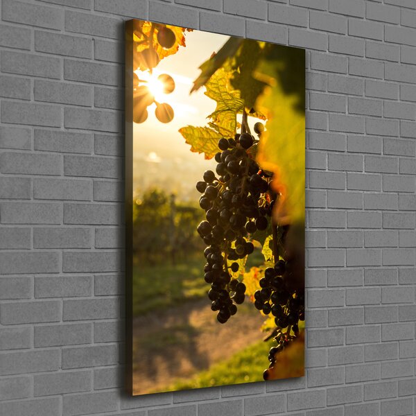Vertikální Moderní obraz canvas na rámu Vinice ocv-92882474