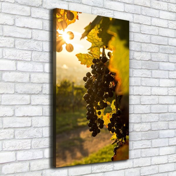 Vertikální Moderní obraz canvas na rámu Vinice ocv-92882474
