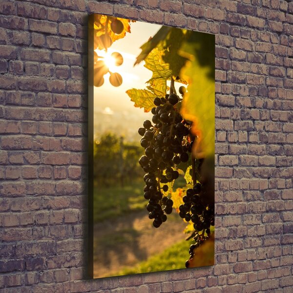 Vertikální Moderní obraz canvas na rámu Vinice ocv-92882474