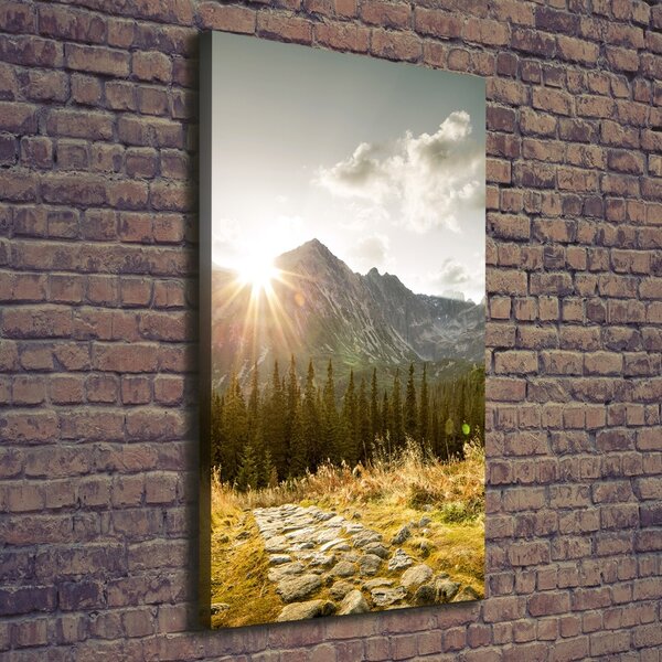 Vertikální Foto obraz na plátně Západ slunce Tatry ocv-93028328