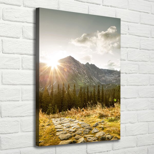 Vertikální Foto obraz na plátně Západ slunce Tatry ocv-93028328