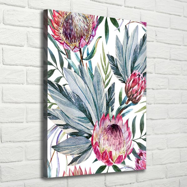Vertikální Moderní fotoobraz canvas na rámu Protea ocv-93909538
