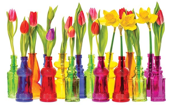 Postershop Fototapeta vliesová: Tulipány - 104x70,5 cm