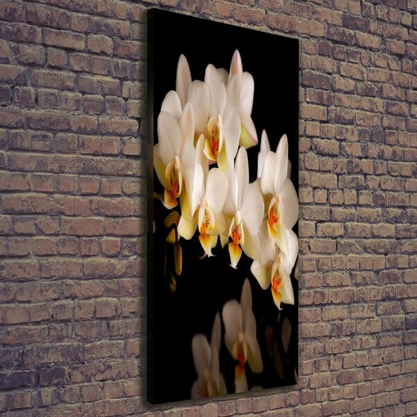 Vertikální Vertikální Foto obraz na plátně do obýváku Orchidej ocv-95410450