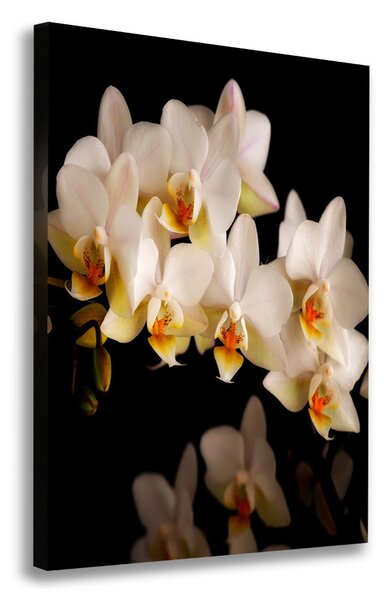 Vertikální Vertikální Foto obraz na plátně do obýváku Orchidej ocv-95410450