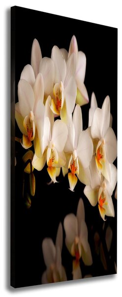 Vertikální Vertikální Foto obraz na plátně do obýváku Orchidej ocv-95410450