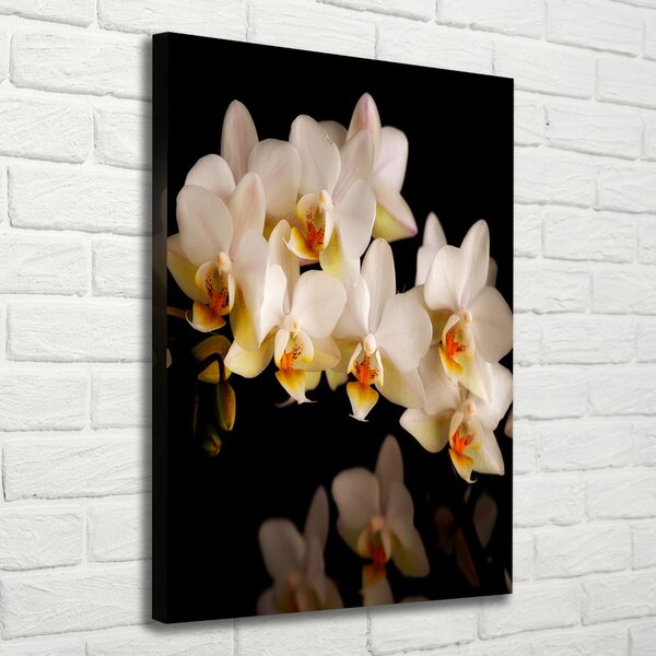 Vertikální Vertikální Foto obraz na plátně do obýváku Orchidej ocv-95410450