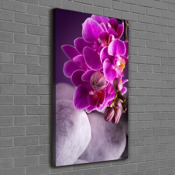 Vertikální Foto obraz na plátně Růžová orchidej ocv-95985968