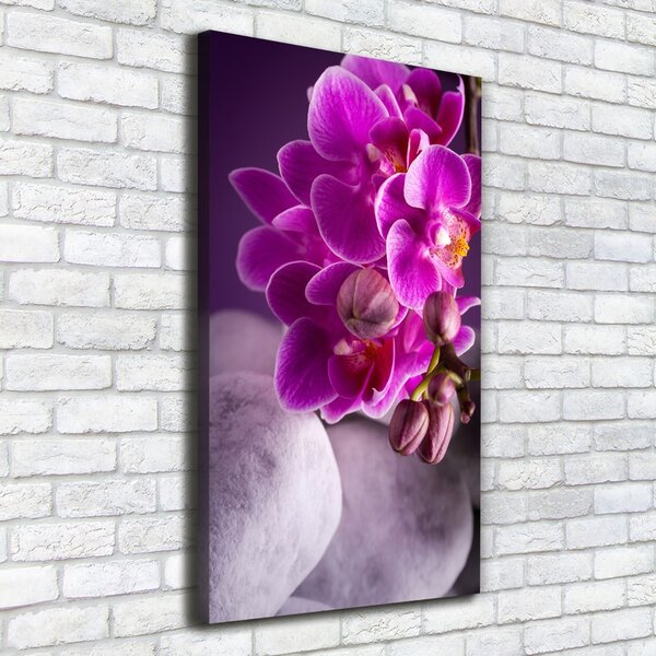 Vertikální Foto obraz na plátně Růžová orchidej ocv-95985968