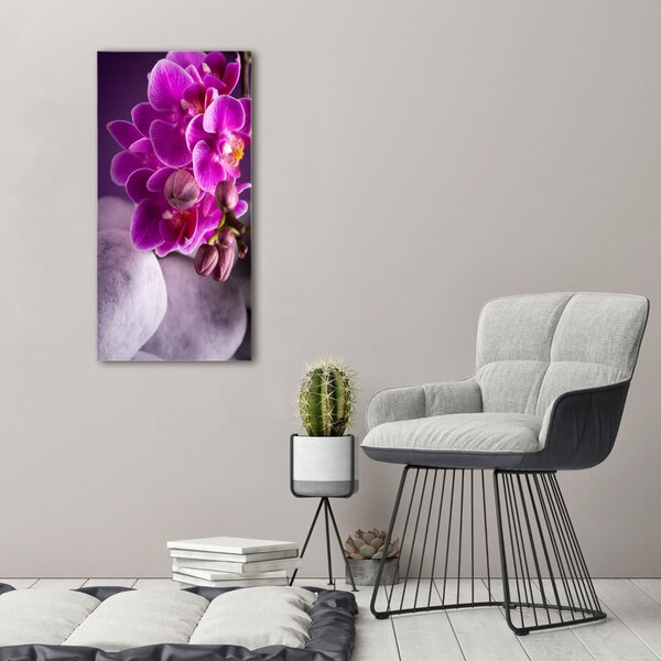 Vertikální Foto obraz na plátně Růžová orchidej ocv-95985968
