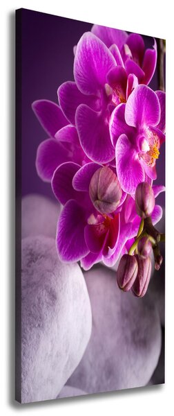 Vertikální Foto obraz na plátně Růžová orchidej ocv-95985968