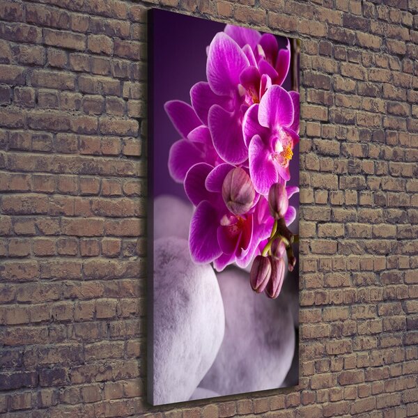Vertikální Foto obraz na plátně Růžová orchidej ocv-95985968