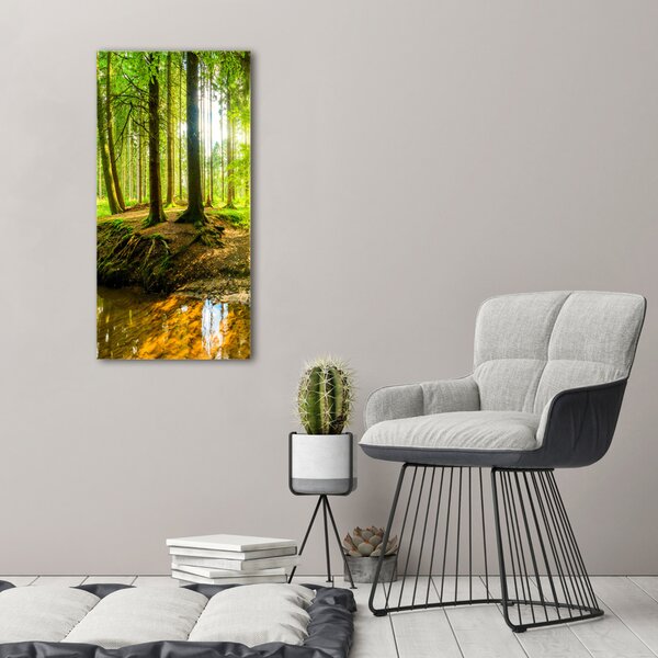 Vertikální Foto obraz na plátně Pramen v lese ocv-96124300