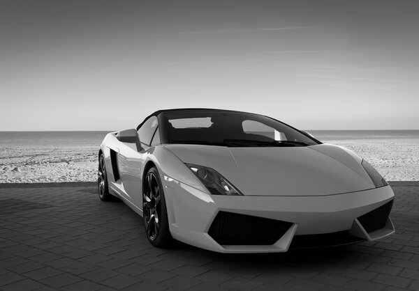 Postershop Fototapeta vliesová: Černobílé Lamborghini - 254x184 cm