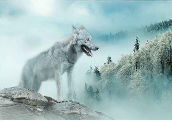 Postershop Fototapeta vliesová: Nature forest wolf snow - 208x146 cm