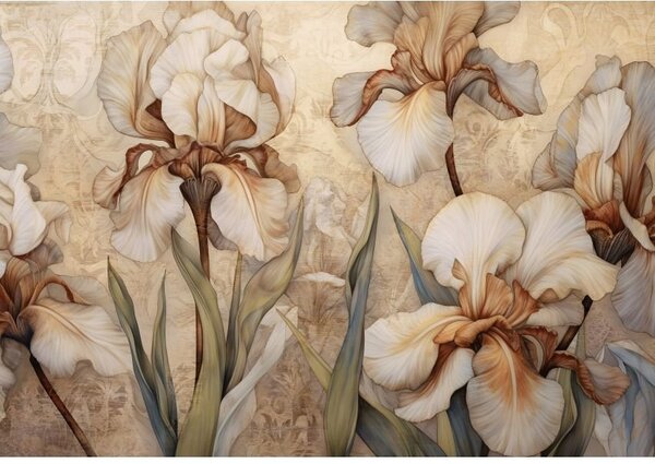 Postershop Fototapeta vliesová: Nature Flowers Modern Iris - 208x146 cm