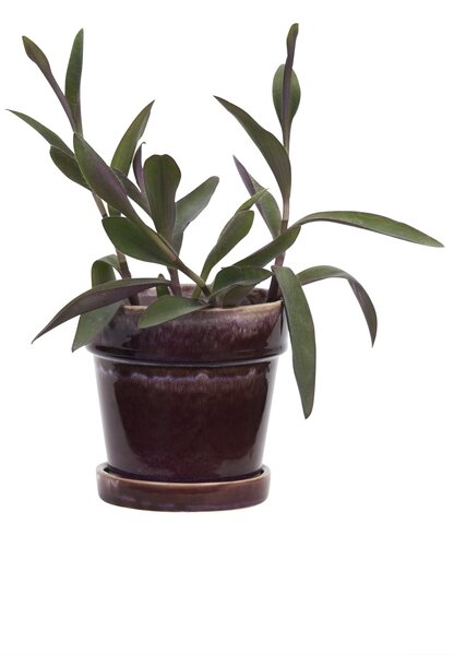 Květináč s podmiskou Purple Ø 13 cm