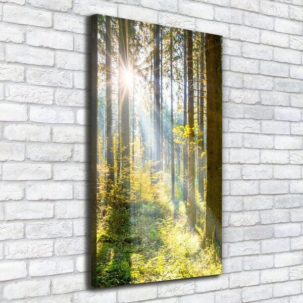 Vertikální Foto obraz canvas Slunce v lese ocv-98252702