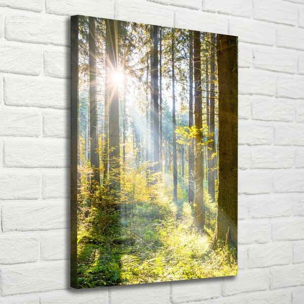Vertikální Foto obraz canvas Slunce v lese ocv-98252702