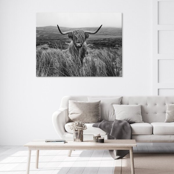 Postershop Obraz na plátně: Landscape scottish highland cow (1) - 100x75 cm