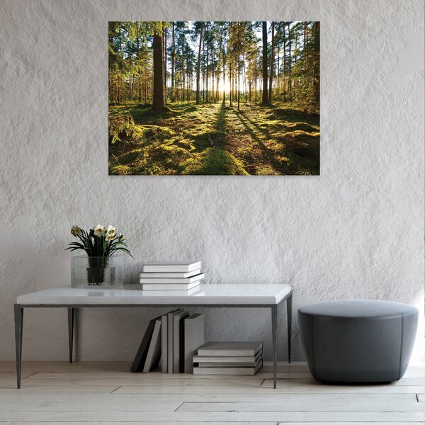 Postershop Obraz na plátně: Nature landscape forest trees - 100x75 cm