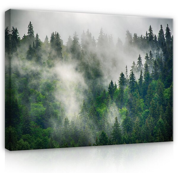 Postershop Obraz na plátně: Nature forest landscape fog - 100x75 cm