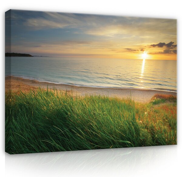 Postershop Obraz na plátně: Landscape nature beach sea - 100x75 cm
