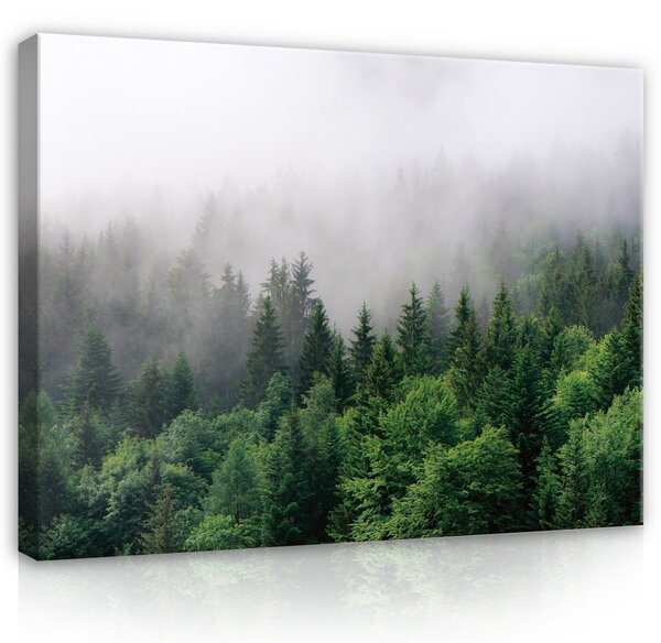 Postershop Obraz na plátně: Forest - 100x75 cm
