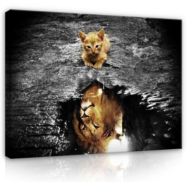 Postershop Obraz na plátně: Cat and Lion - 80x60 cm
