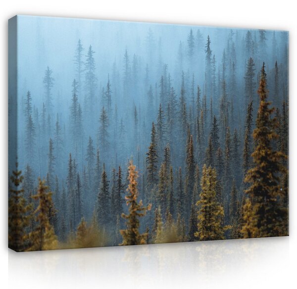 Postershop Obraz na plátně: Forest - 100x75 cm