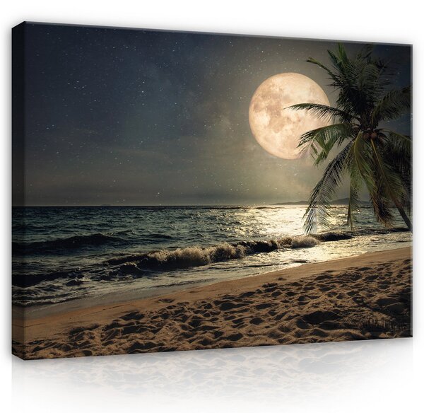 Postershop Obraz na plátně: Full moon on the beach - 100x75 cm