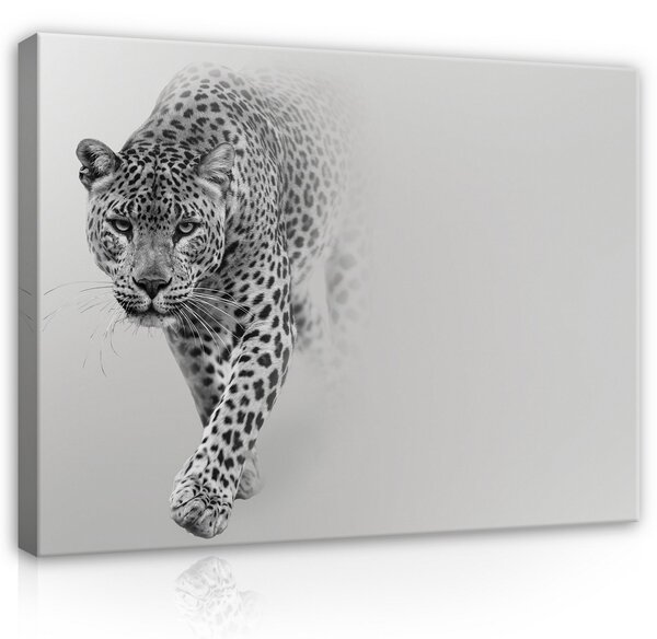Postershop Obraz na plátně: Leopard - 100x75 cm