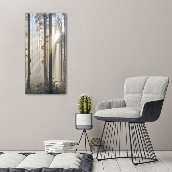 Vertikální Foto obraz canvas Mlha v lese ocv-98968412