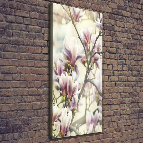 Vertikální Vertikální Foto obraz na plátně do obýváku Magnolie ocv-99199338