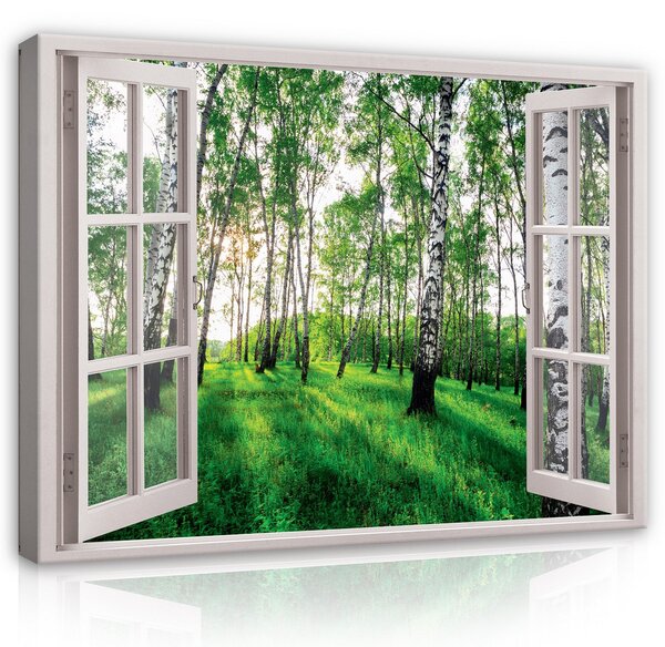 Postershop Obraz na plátně: 3D Effect Window Birch Forest View - 80x60 cm