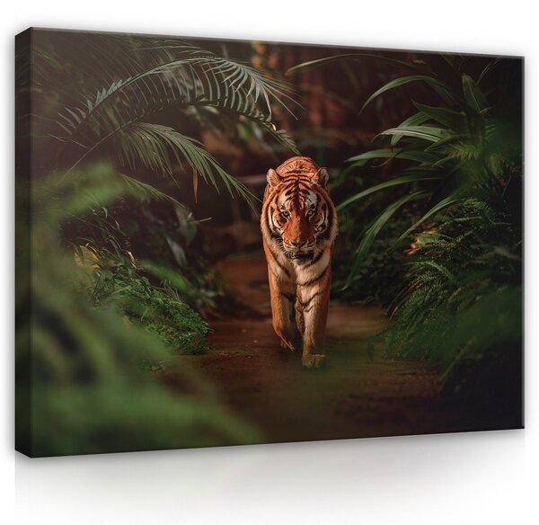 Postershop Obraz na plátně: Nature jungle tiger green - 80x60 cm