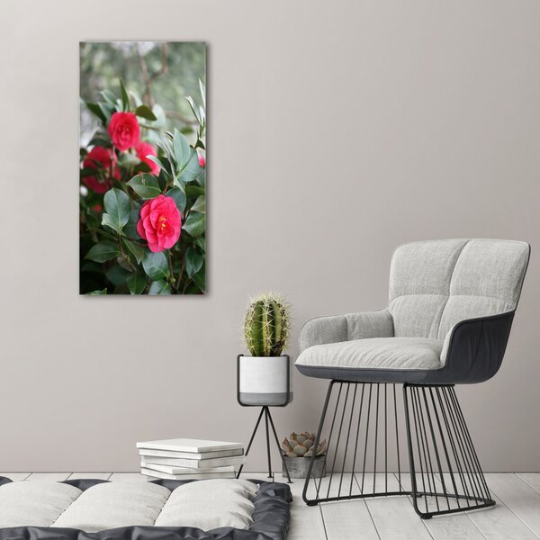 Vertikální Moderní obraz canvas na rámu Kamélie ocv-99414175