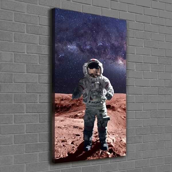 Vertikální Vertikální Foto obraz na plátně do obýváku Astronauta ocv-99633895