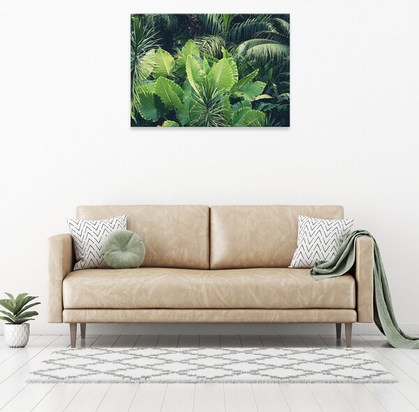 Postershop Obraz na plátně: Nature leaves jungle green - 80x60 cm