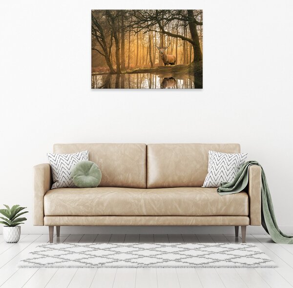 Postershop Obraz na plátně: Lanscape nature forest deer - 80x60 cm
