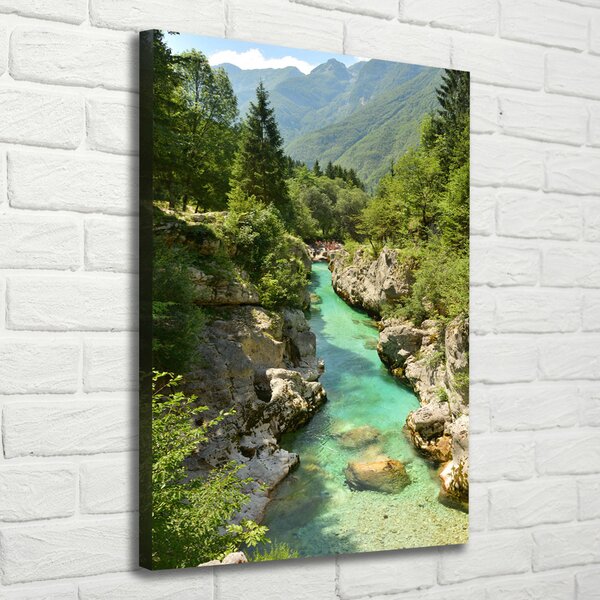 Vertikální Foto obraz canvas Horský potok ocv-99672886